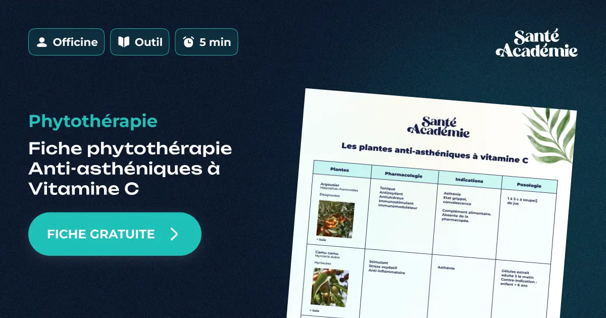 Télécharger gratuitement notre Phytothérapie : fiche des principes